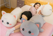 Boba Squishmallows vs. Stuffed Cats: Which One Makes the Best Cozy Companion?