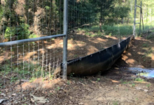 Deer Fence Materials Pricing Guide: What to Expect for Quality and Longevity