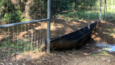 Deer Fence Materials Pricing Guide: What to Expect for Quality and Longevity