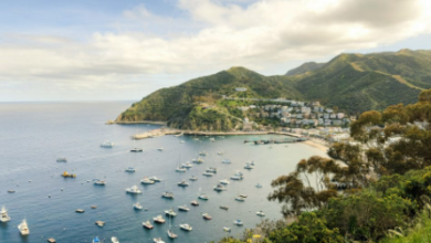 Why a Weekend at Sea Can Feel Like a Full Island Escape