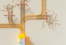 data alignment memorandum details