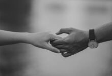 dataset reliability summary insights