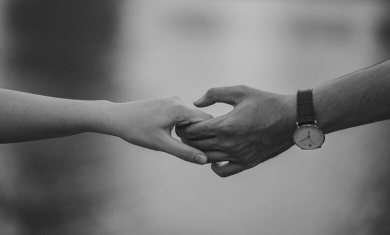 dataset reliability summary insights