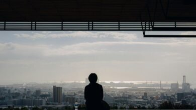 numeric assurance overview summary