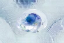 numeric intelligence data brief