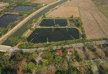 quantitative identifier control summary