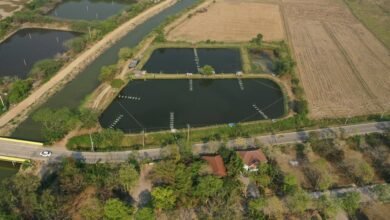 quantitative identifier control summary