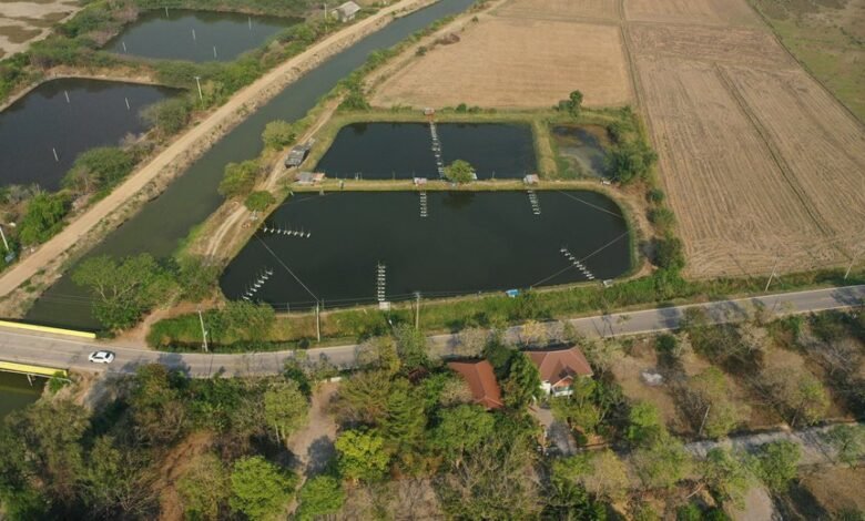 quantitative identifier control summary