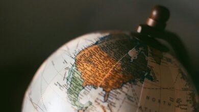 reference integrity overview summary