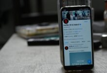 increase followers on social media