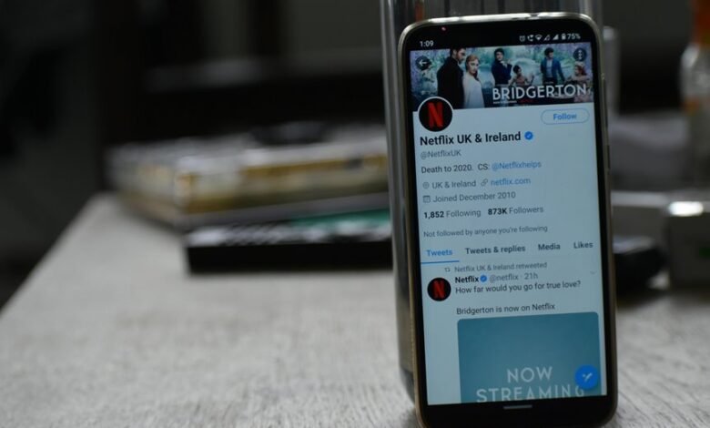 increase followers on social media