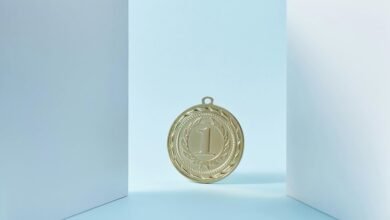 search rankings performance guide