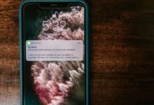 community safety alert system